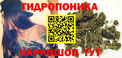 стаф Пугачёв