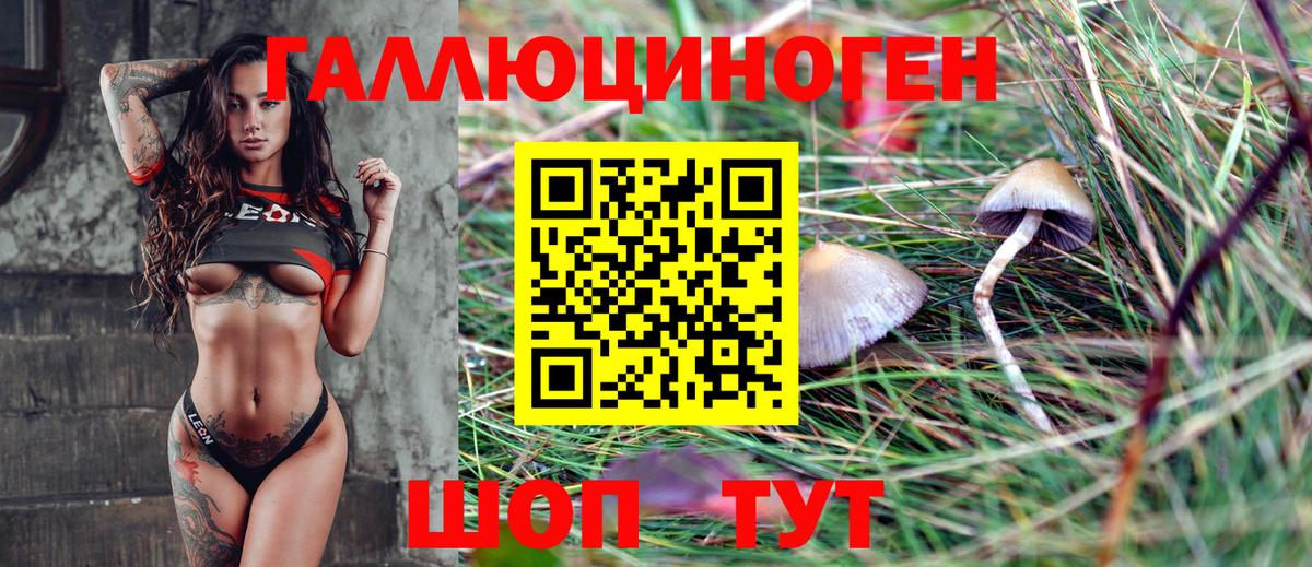 Галлюциногенные грибы мицелий Саянск