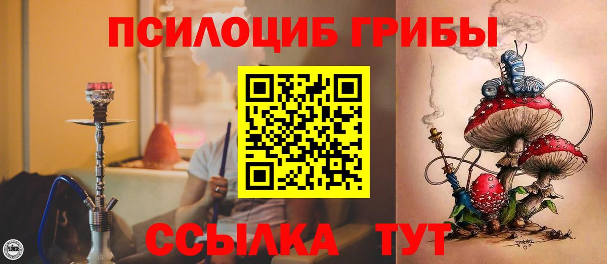 Псилоцибиновые грибы Psilocybe  Псилоцибиновые грибы прущие грибы  Саянск  Вход с VPN 
